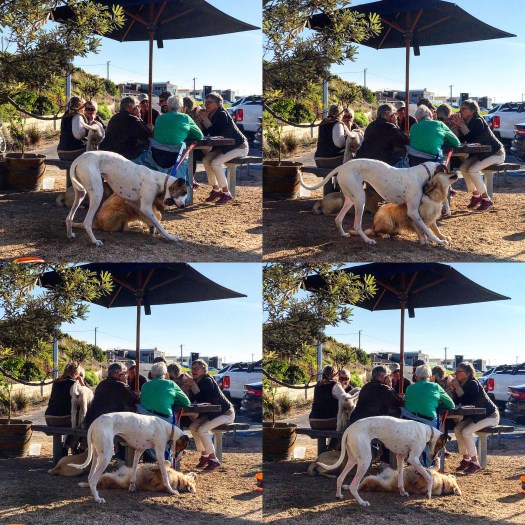 Punggol English Math Science Tutor Tuition Centre Primary Secondary Pri Sec 1 2 3 4 5 6